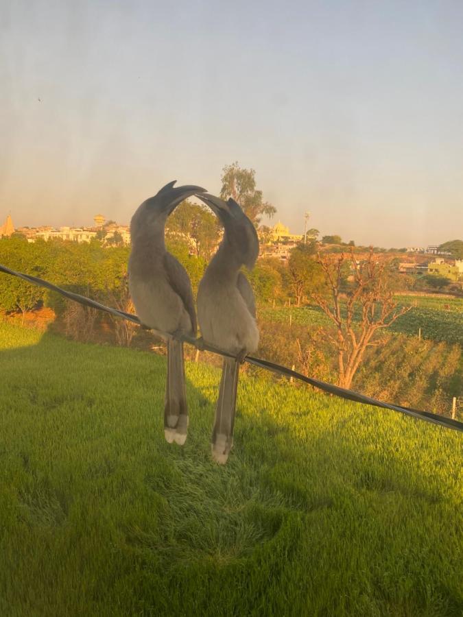 The Natural View พุชการ์ ภายนอก รูปภาพ