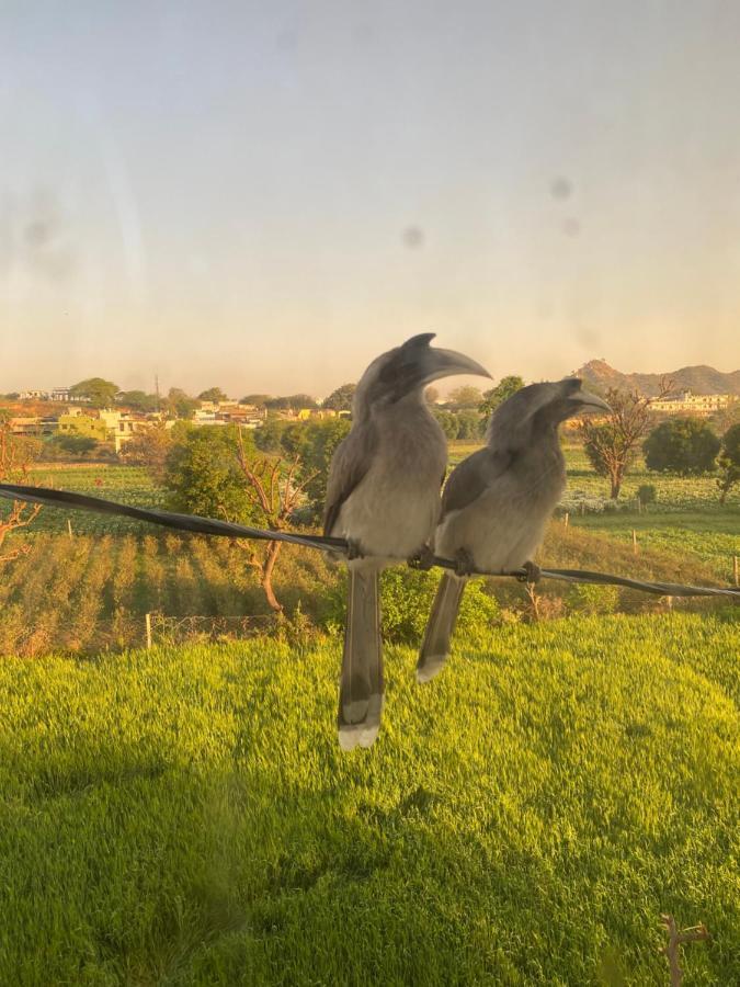 The Natural View พุชการ์ ภายนอก รูปภาพ